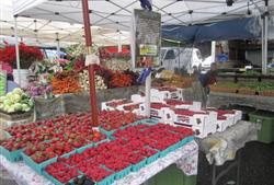 Forest Lakes Farmers Market