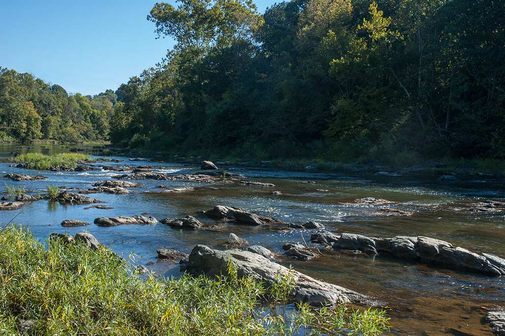 Rivanna River Fest